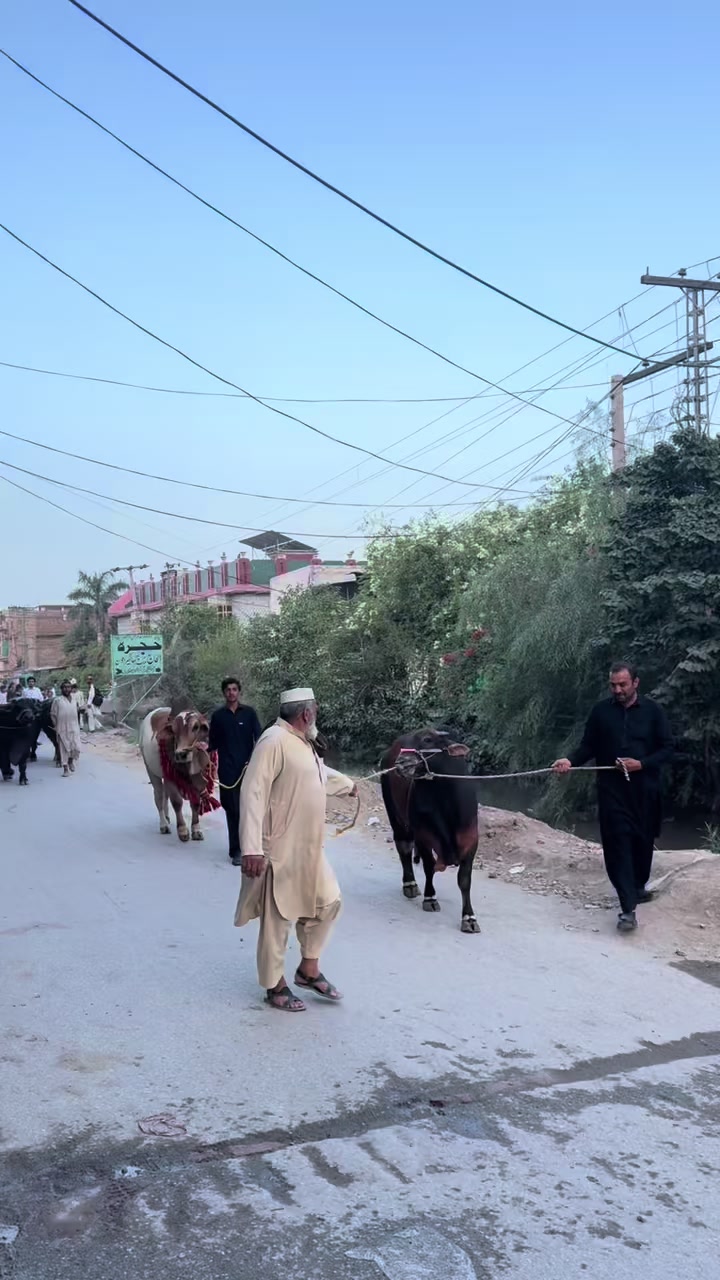 @Malik Mudasir