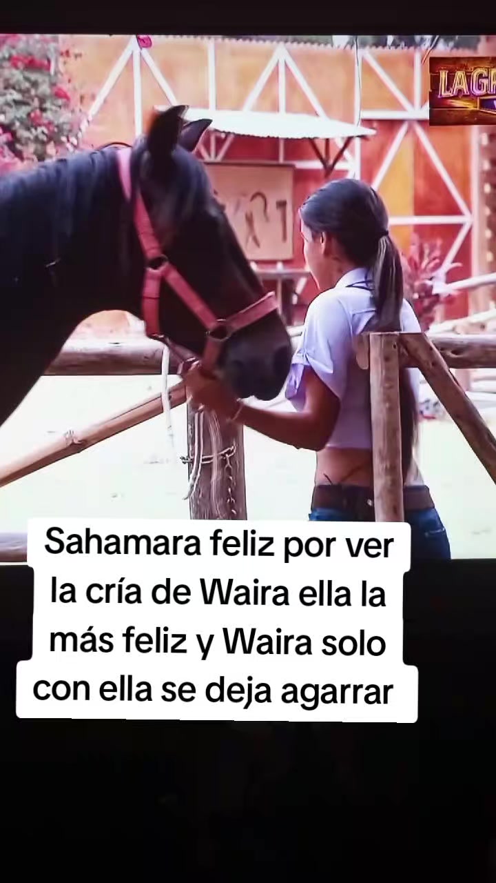 @Erlinda _Caro