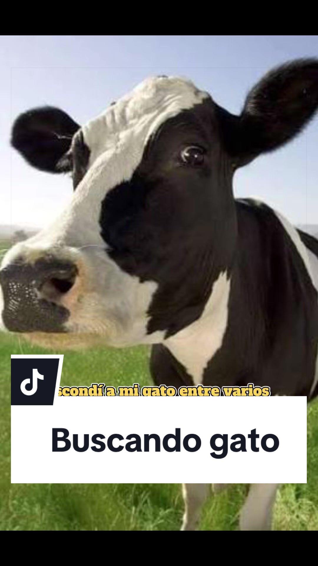 @pepe_el_gordillo