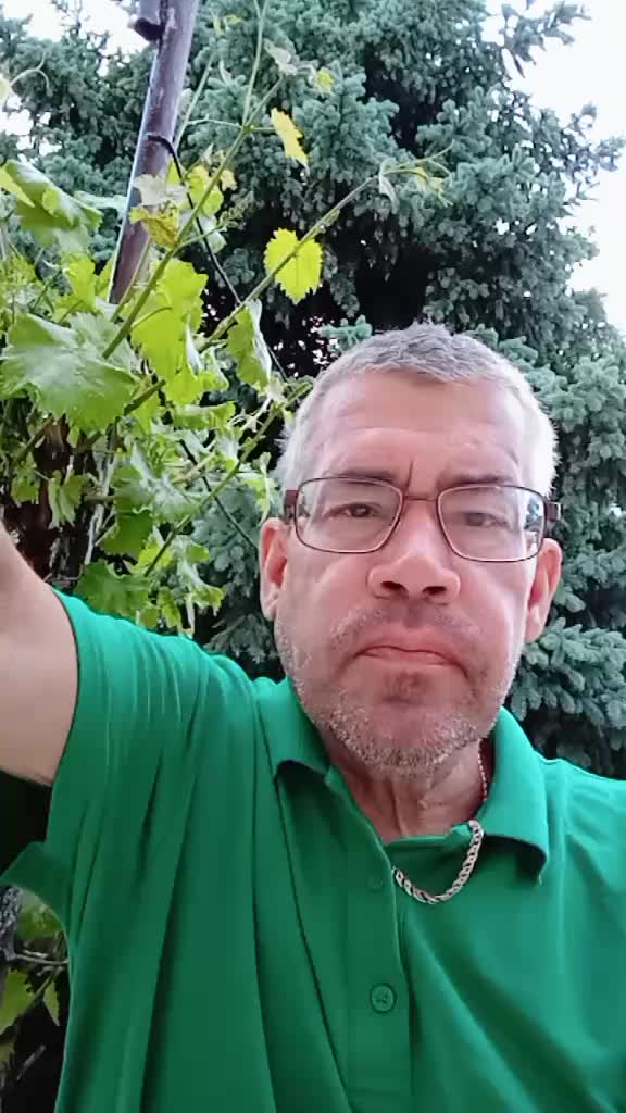 @Александр