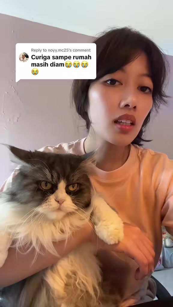 @Kimmy Kun