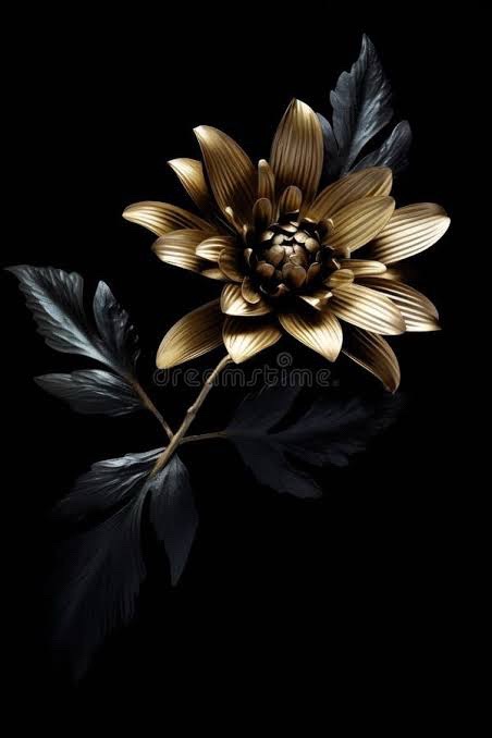 @𝓕𝓲𝓵𝓸
