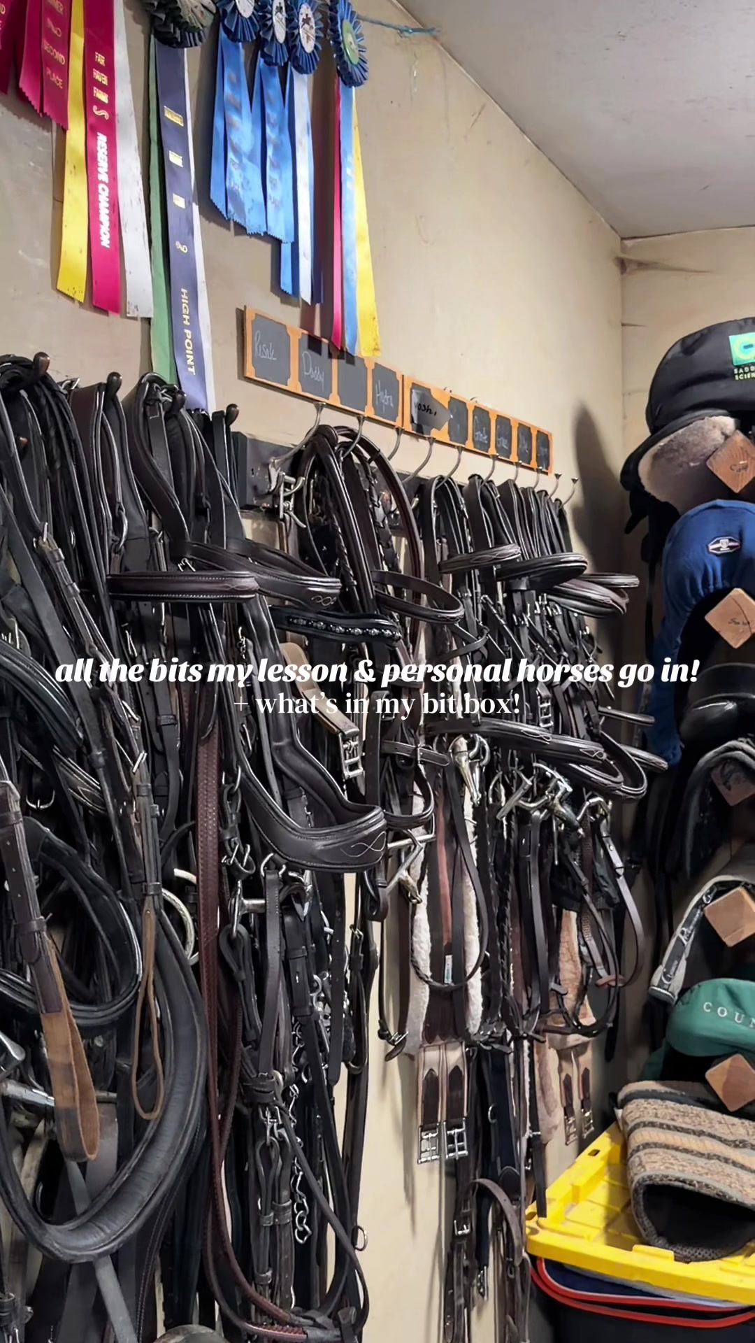 @Lunar Hill Equestrian