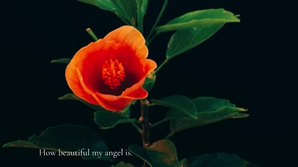 @M+I💐✝️