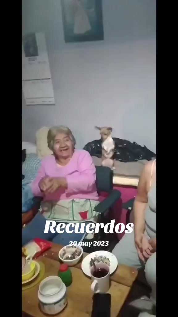 @luiselpollo95