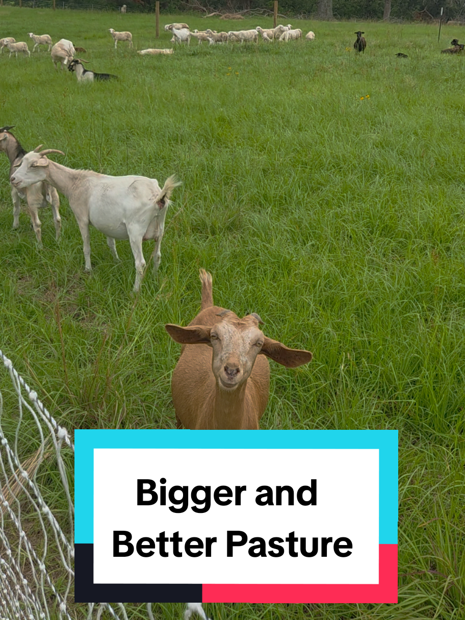 @DelaterrePermacultureFarm