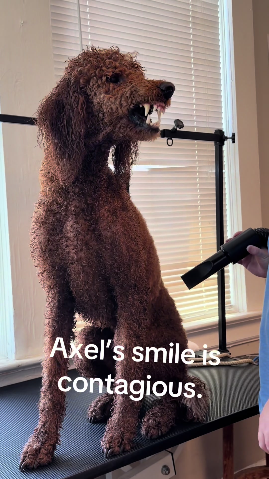 @Amber