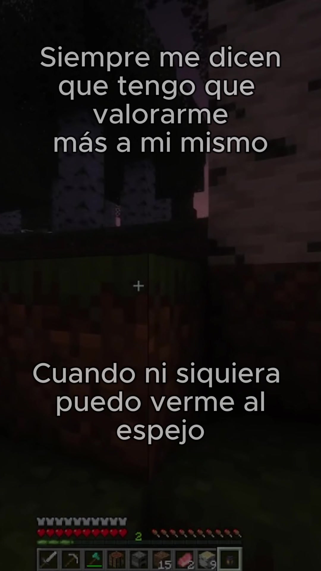 @nicozz41