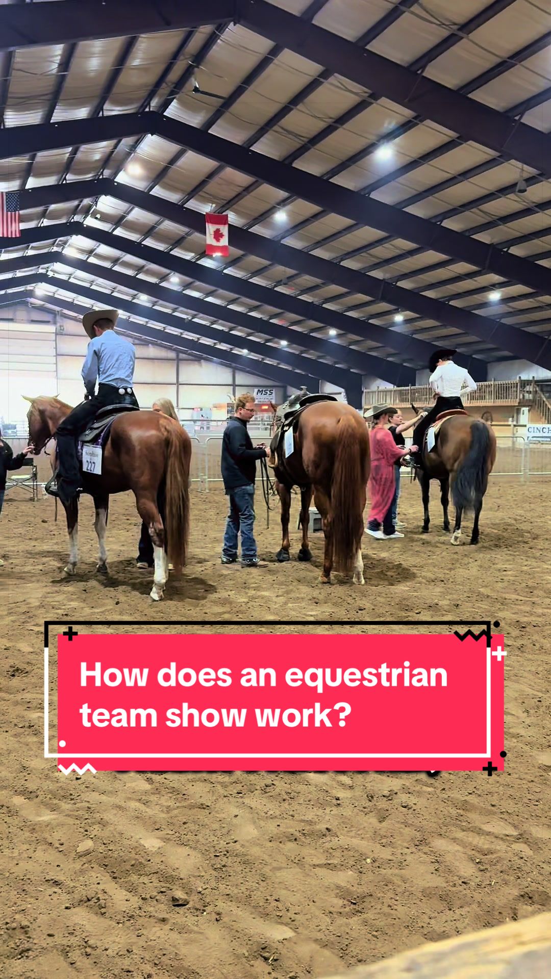 @yourhorseandponyleader