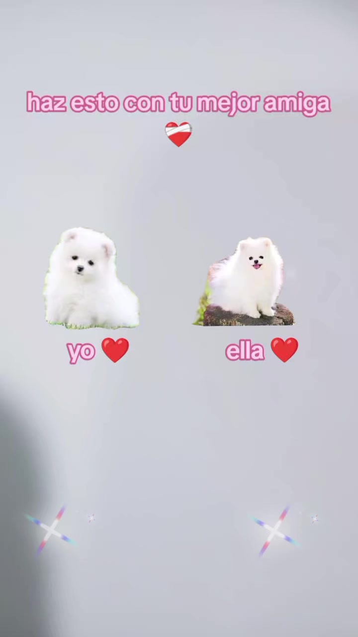 @yarettzi 12 56