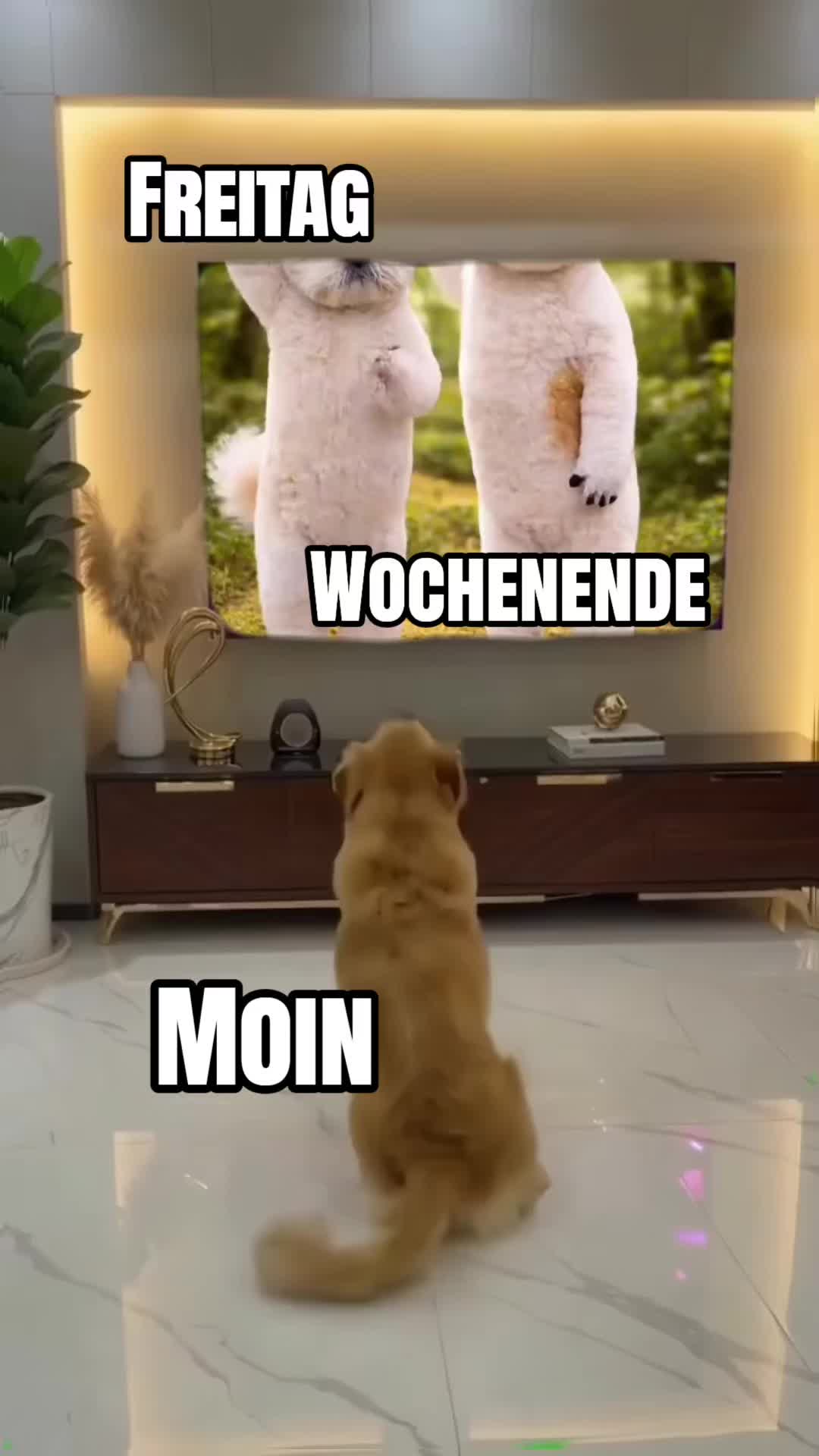 @Peter 1964