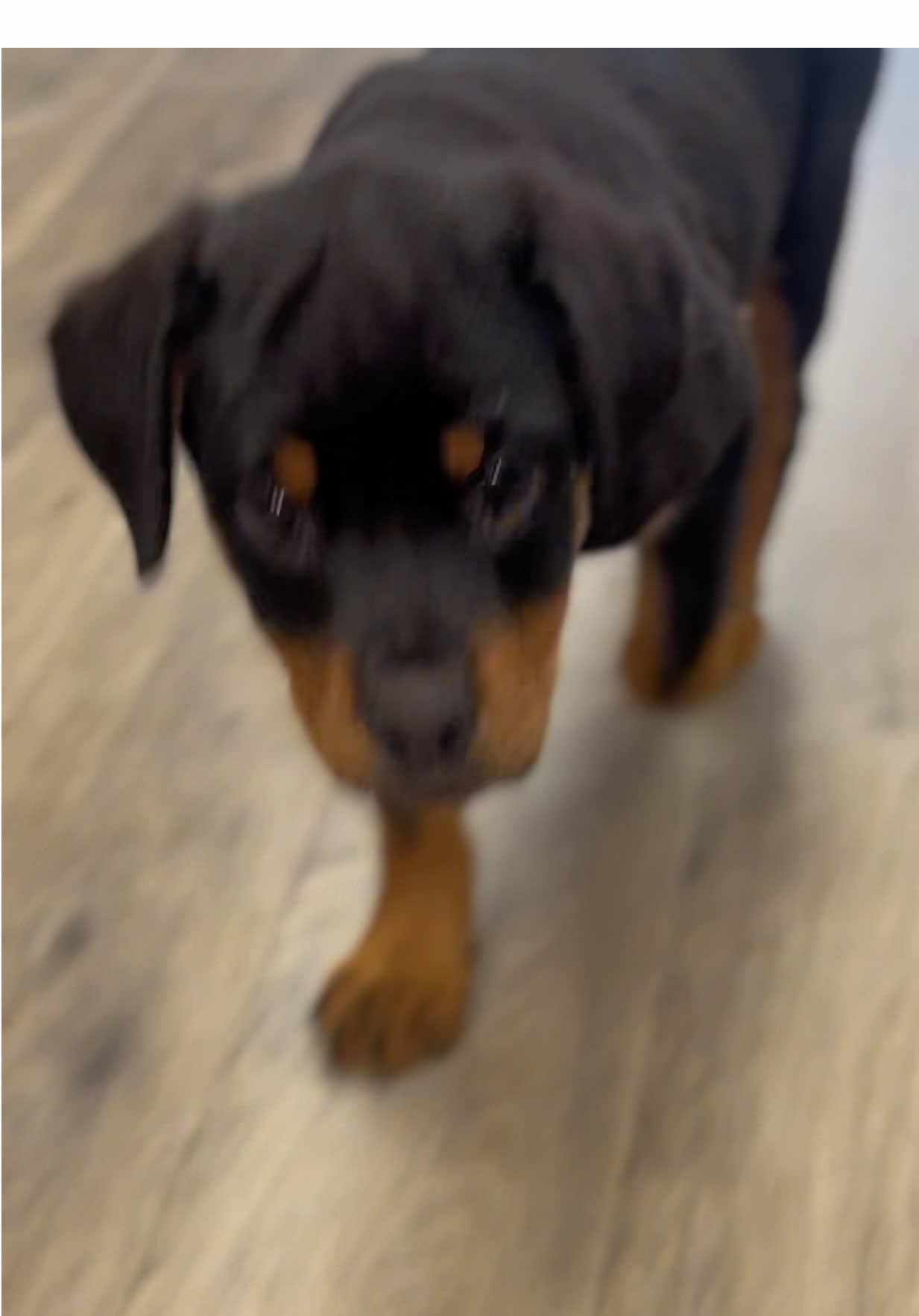 @Petland Oklahoma City