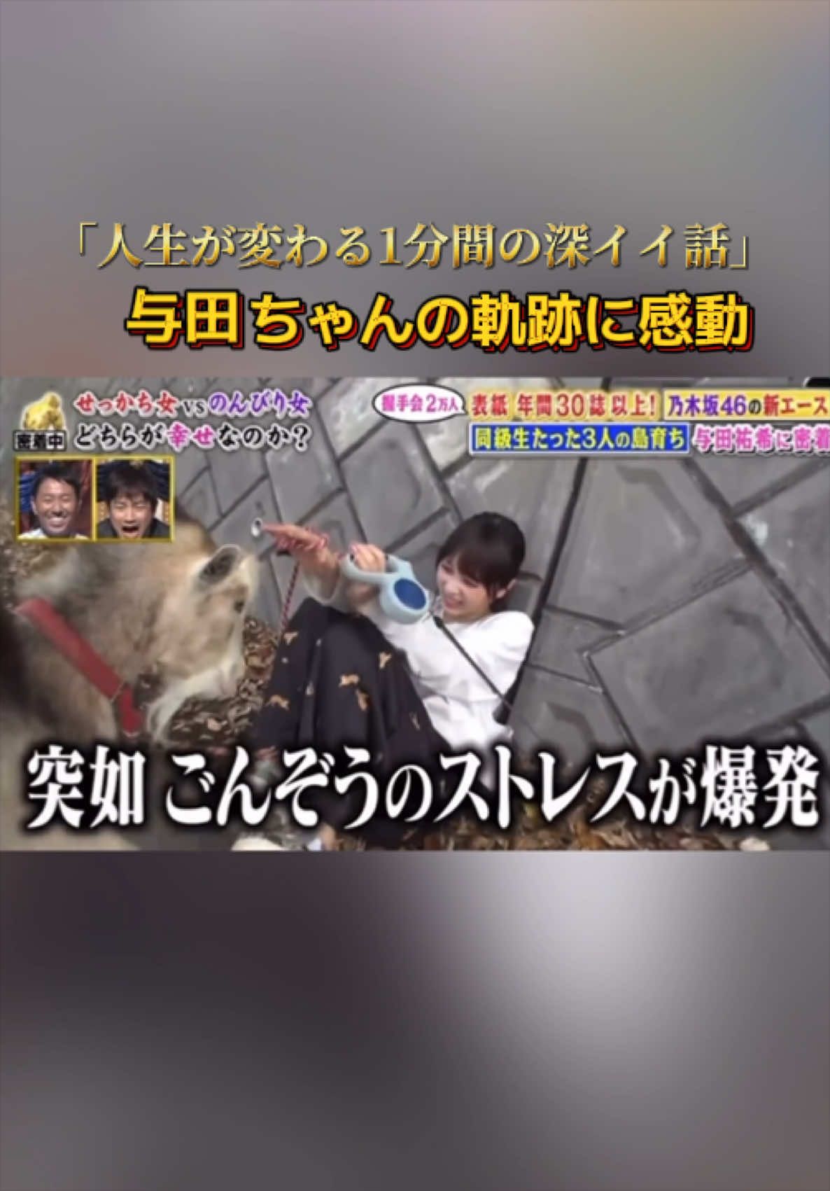 @櫻乃日