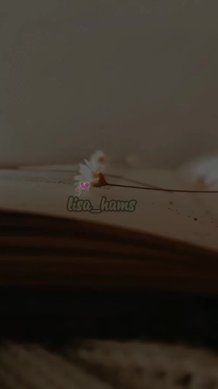@lisahams