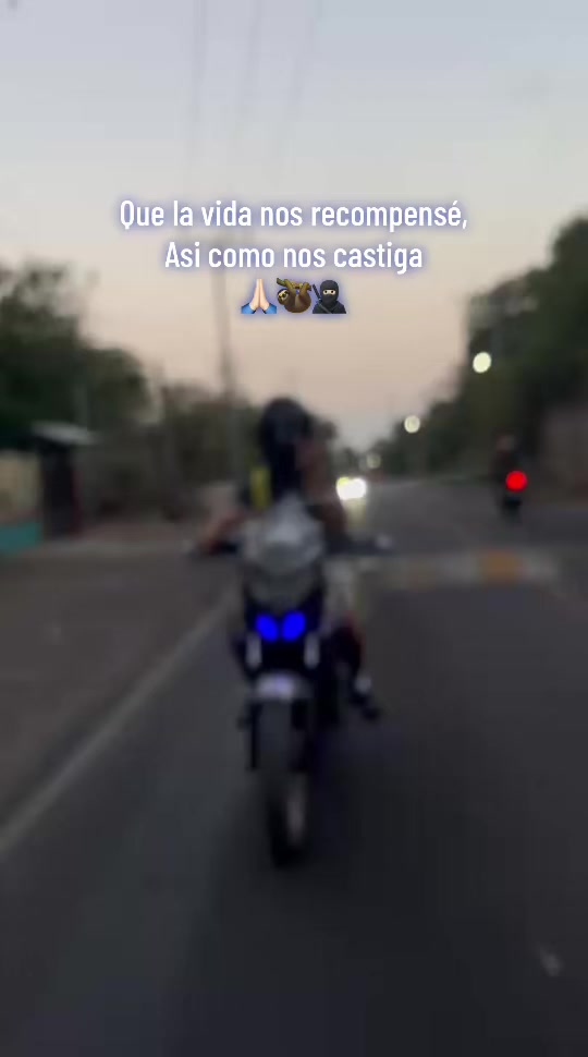 @el pana 🦥