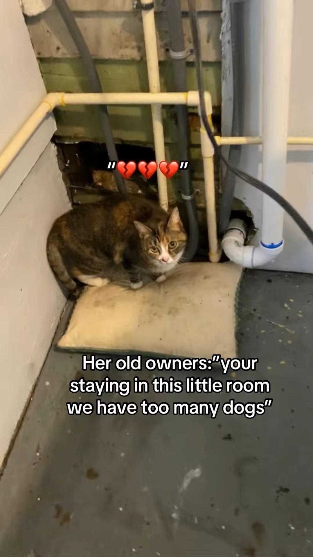 @Kiki