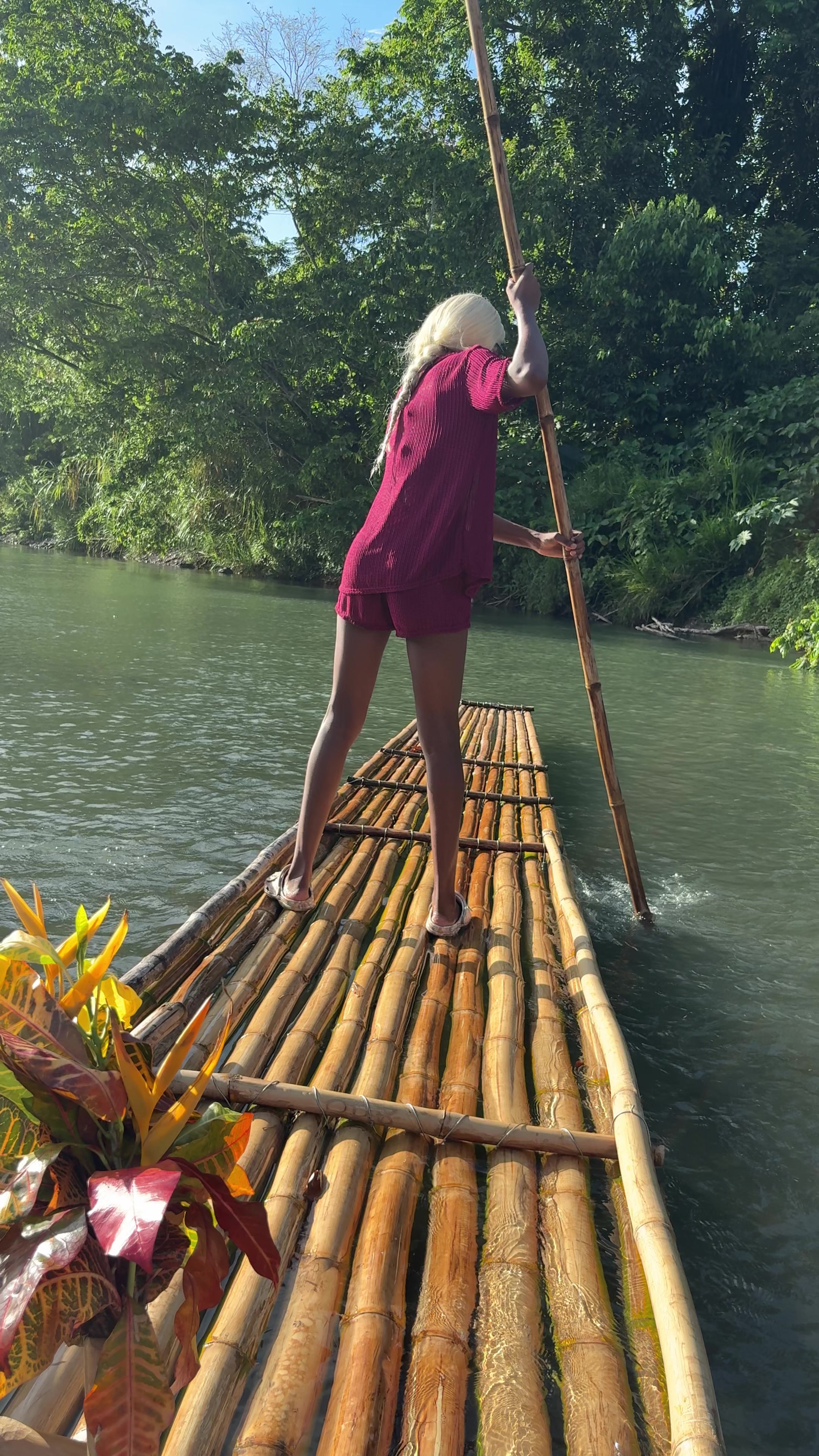 @TAE 🇯🇲