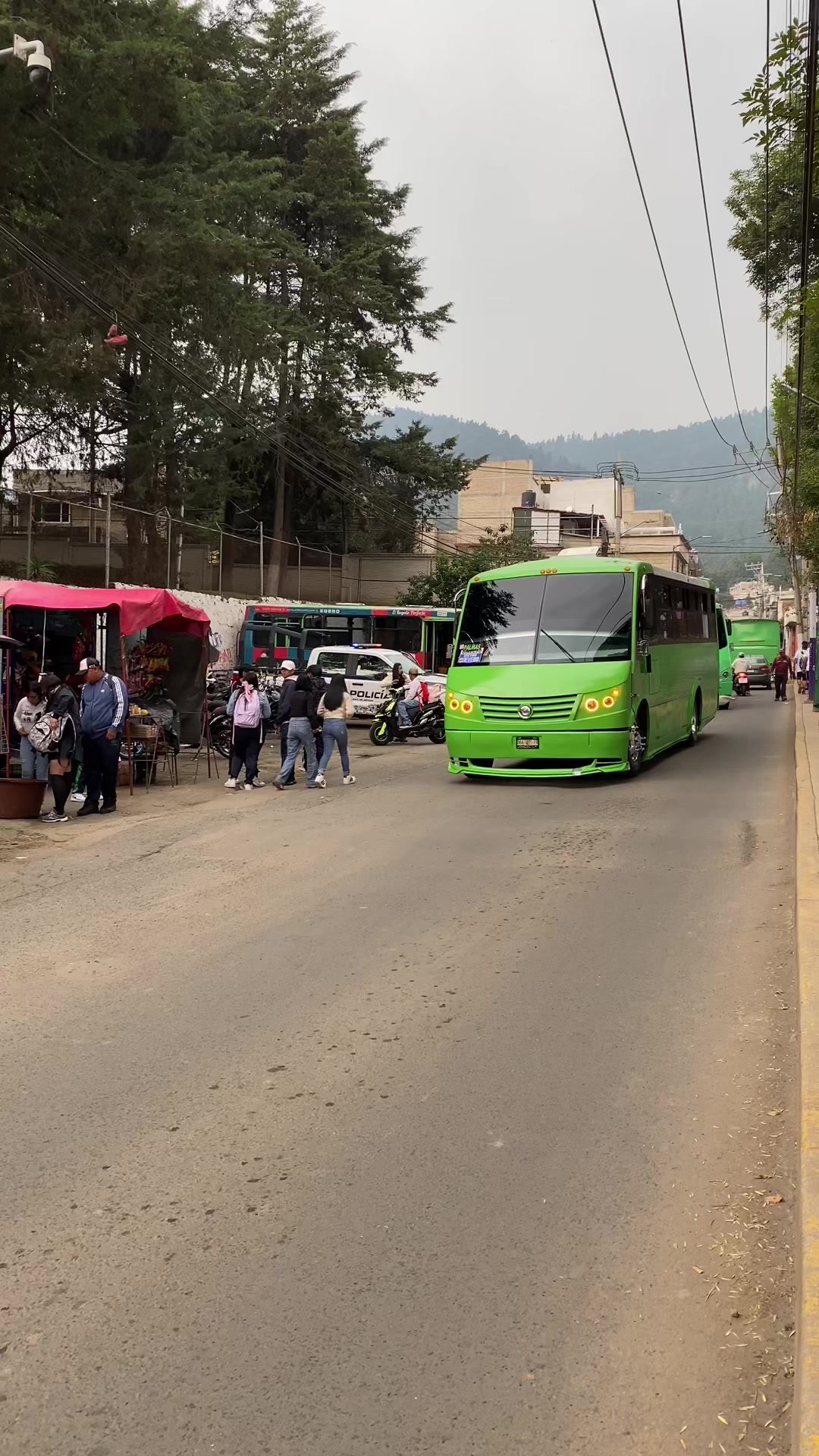 @BUSES ELEGANTES.🔥