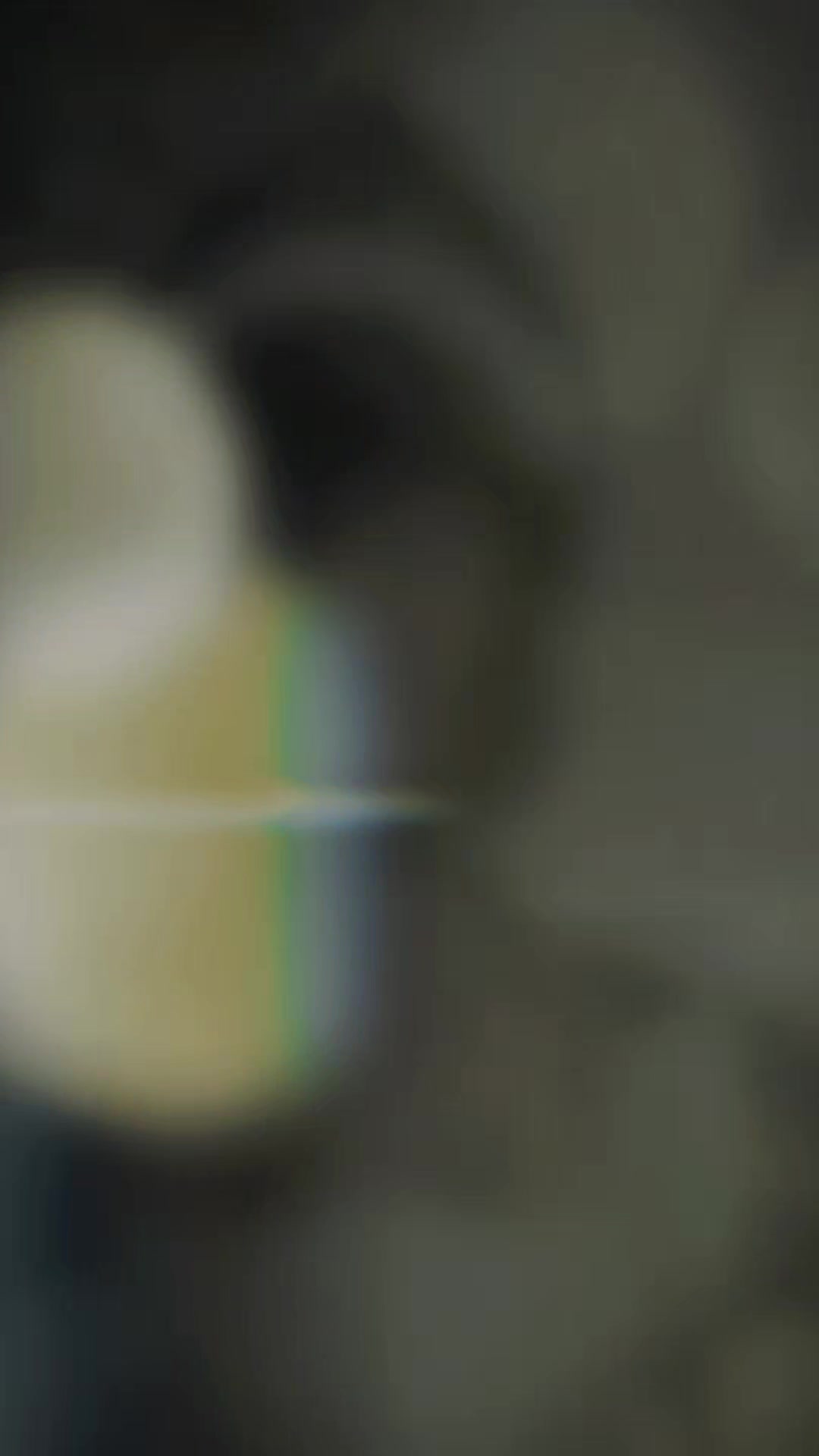 @RafXdyg