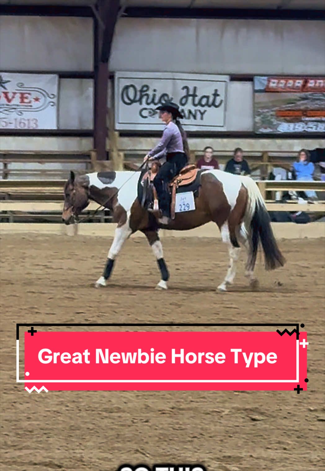 @yourhorseandponyleader