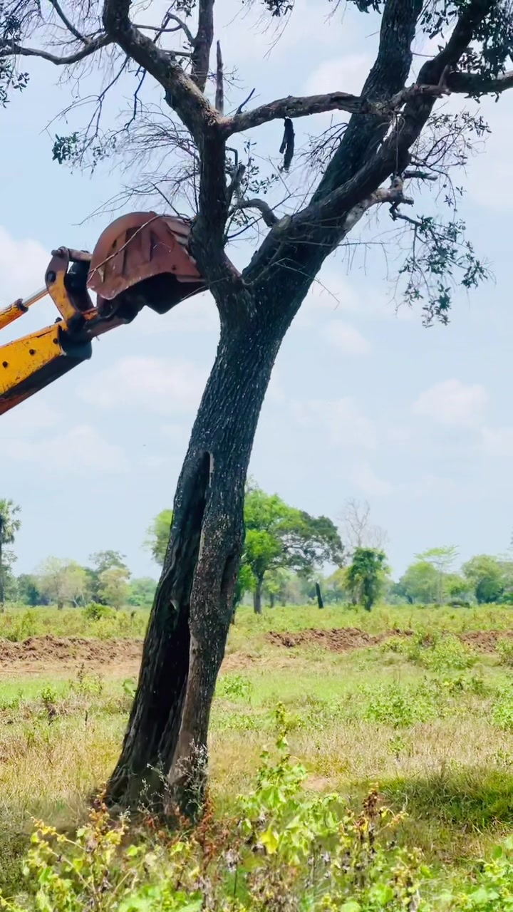 @J C B Boy || ප්රසා 🚜