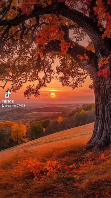 @ganet 07423.