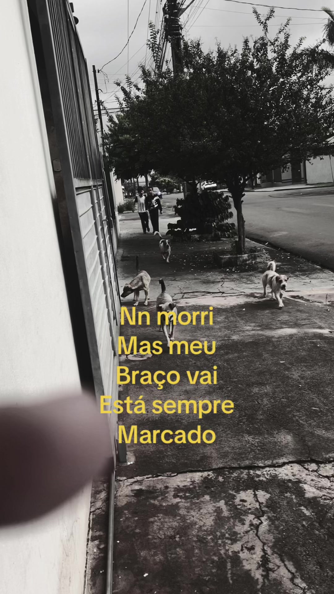 @L&acirc;mina