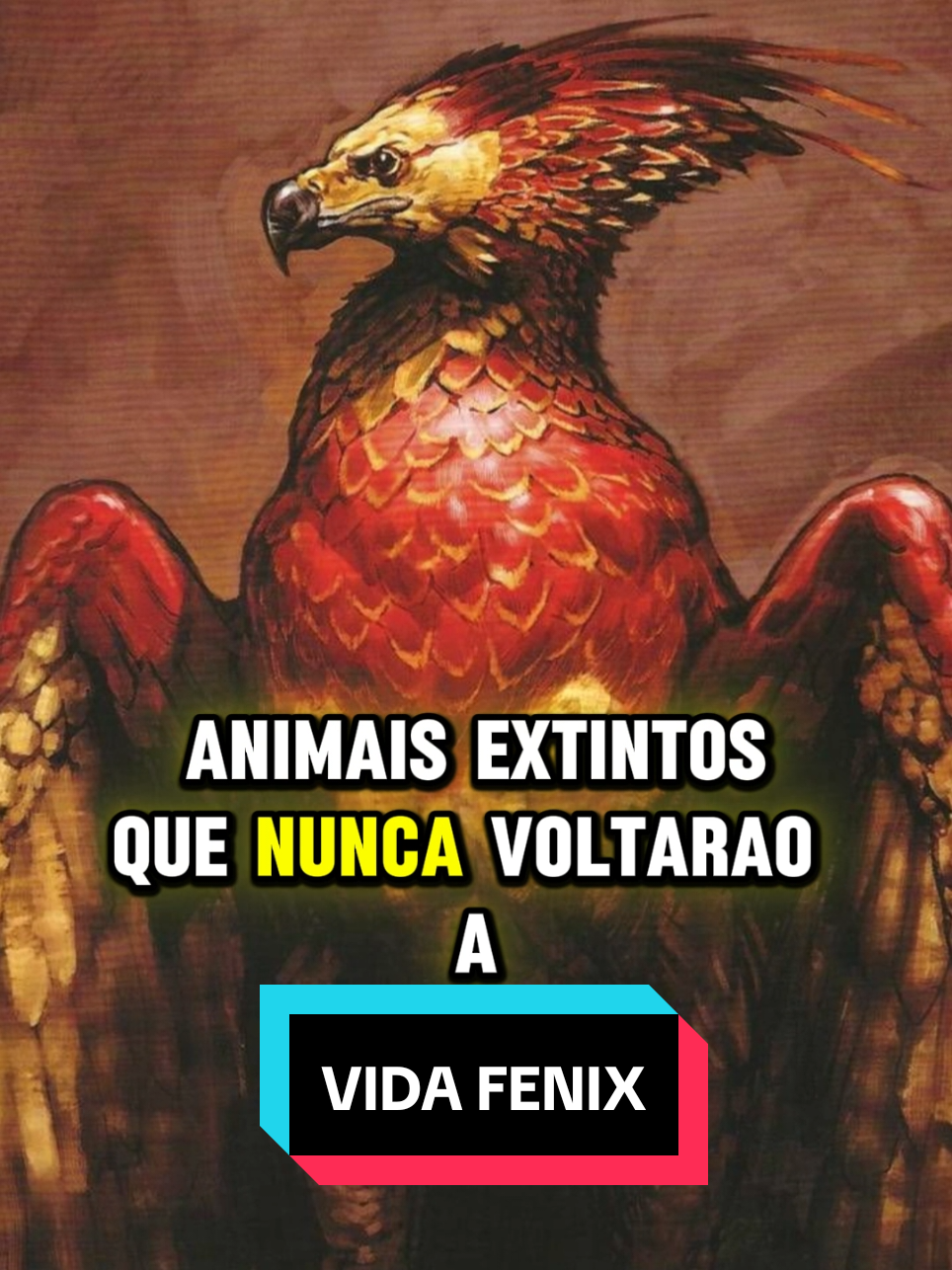 @curiosidadesemist&eacute;rio