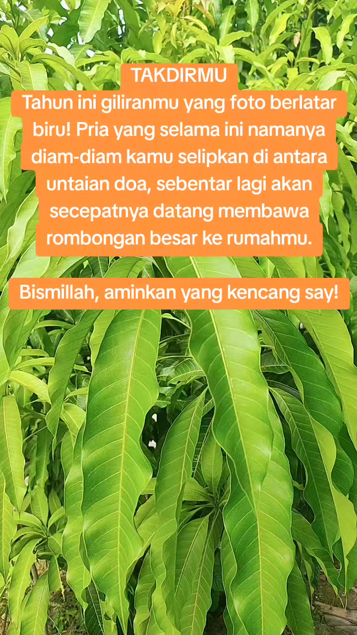 @Mega Widya