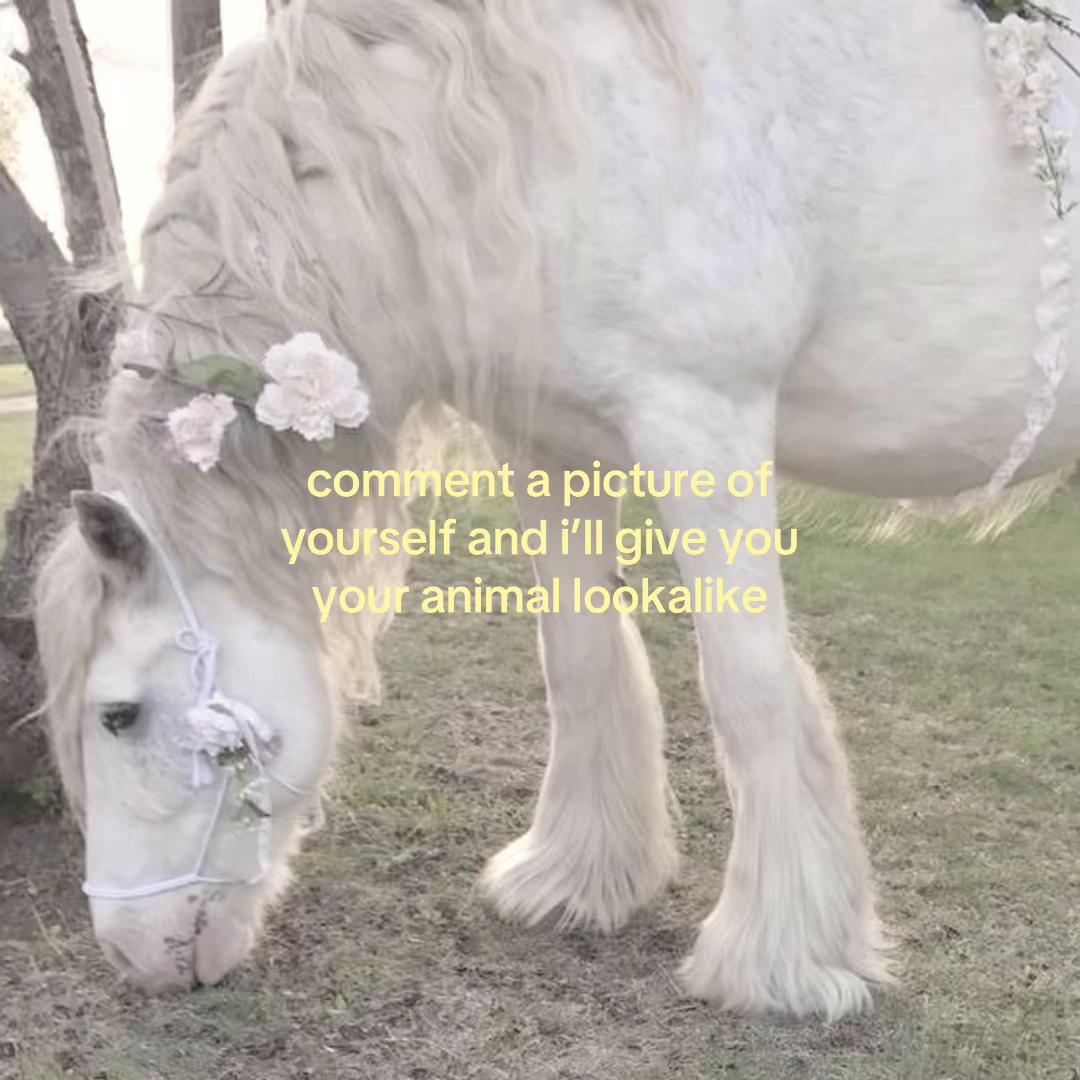 @k🧁