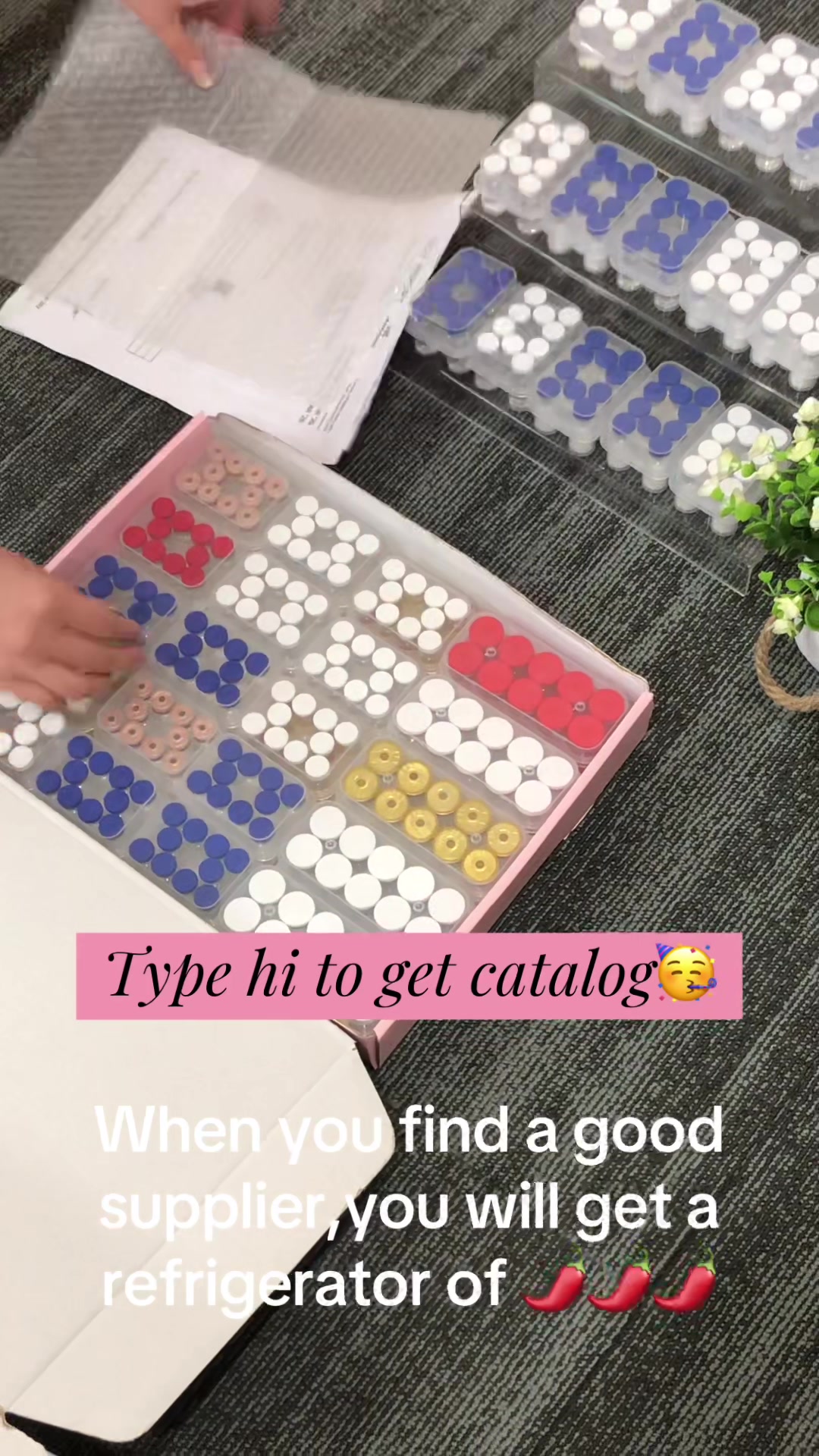 @jodie