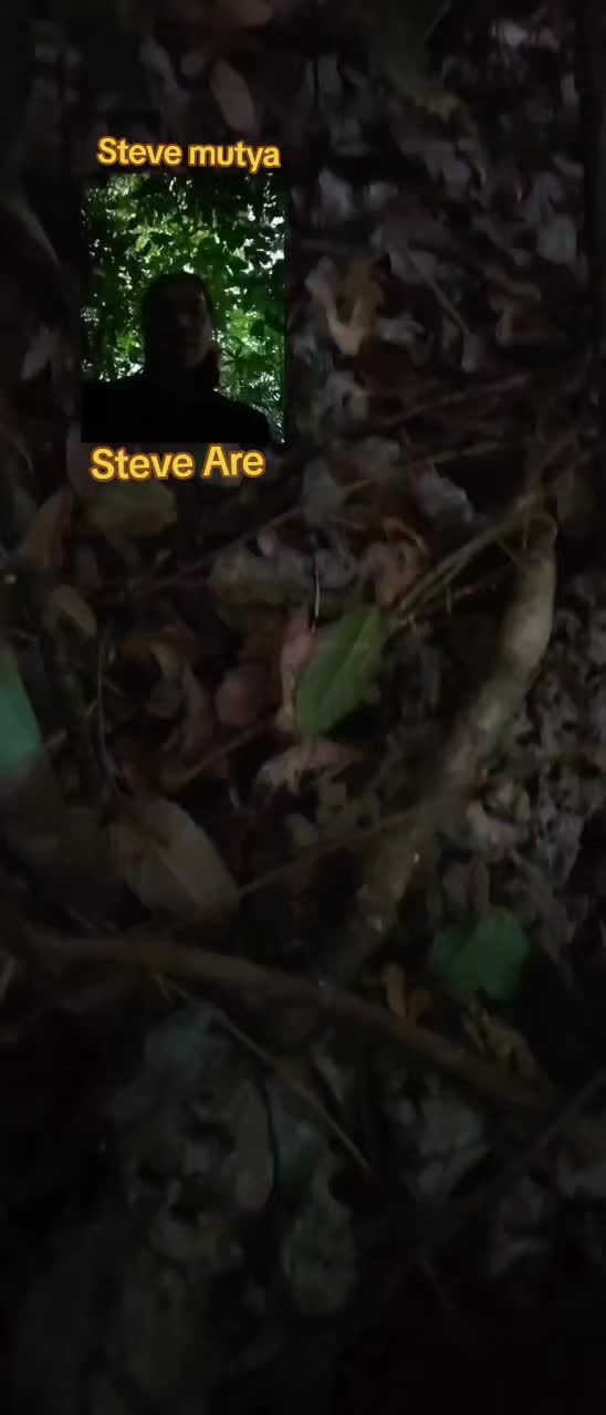 @Steve Mutya