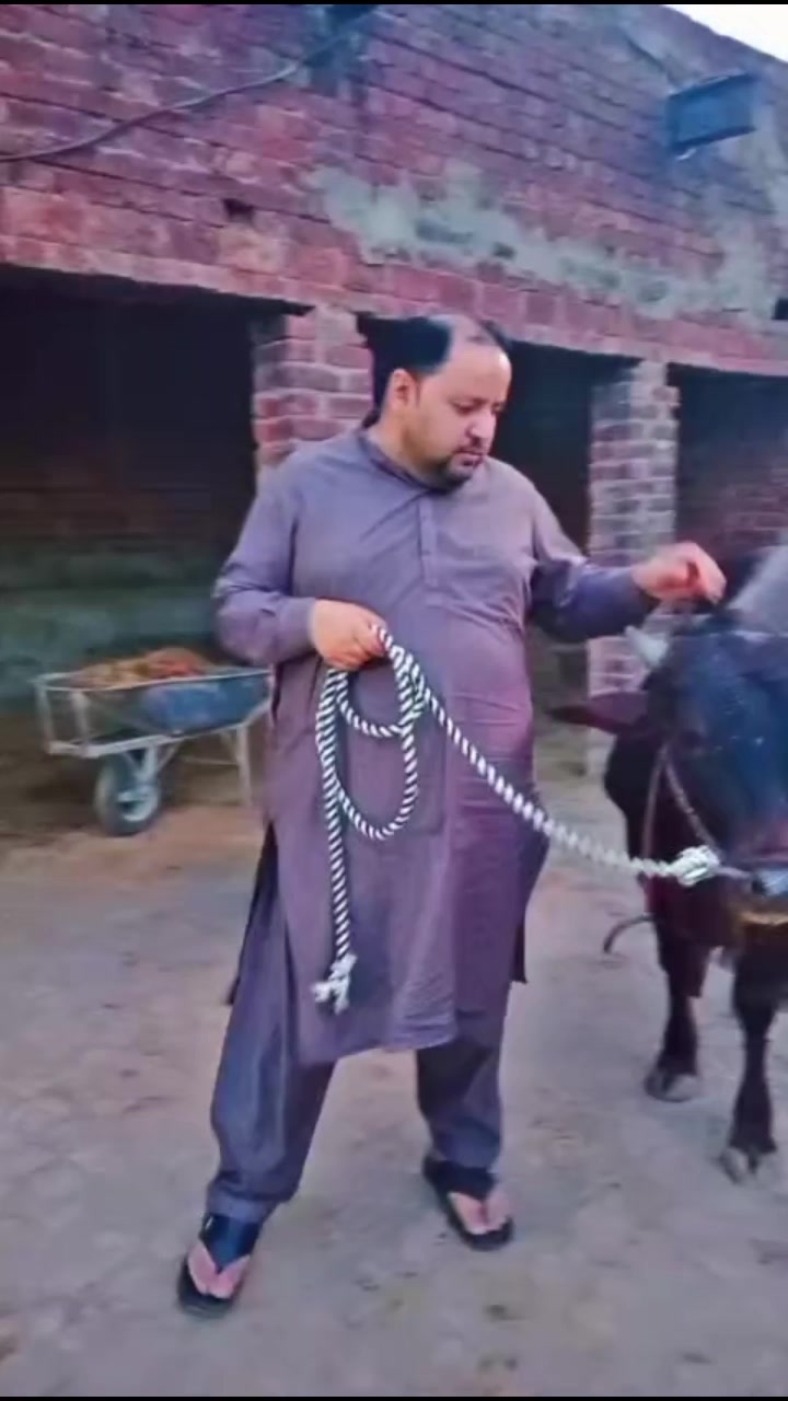 @محمد آصف صراف