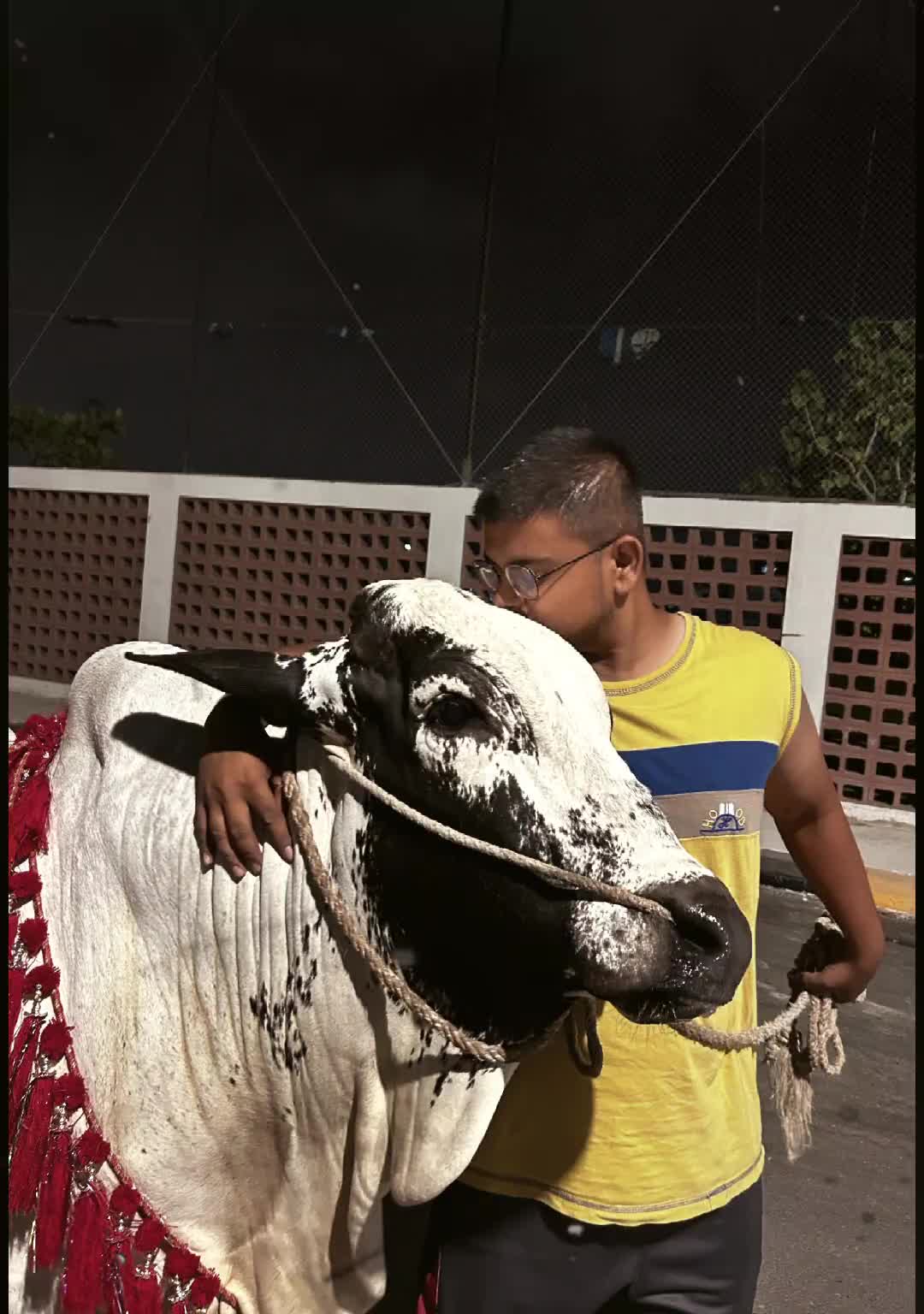 @Fida Hussain Sabri👑