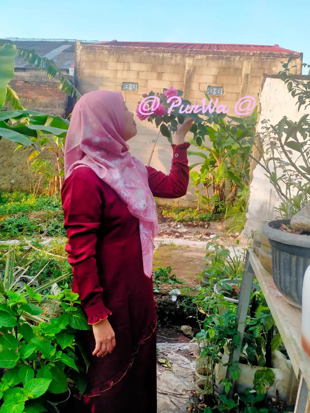 @purwaningsih12