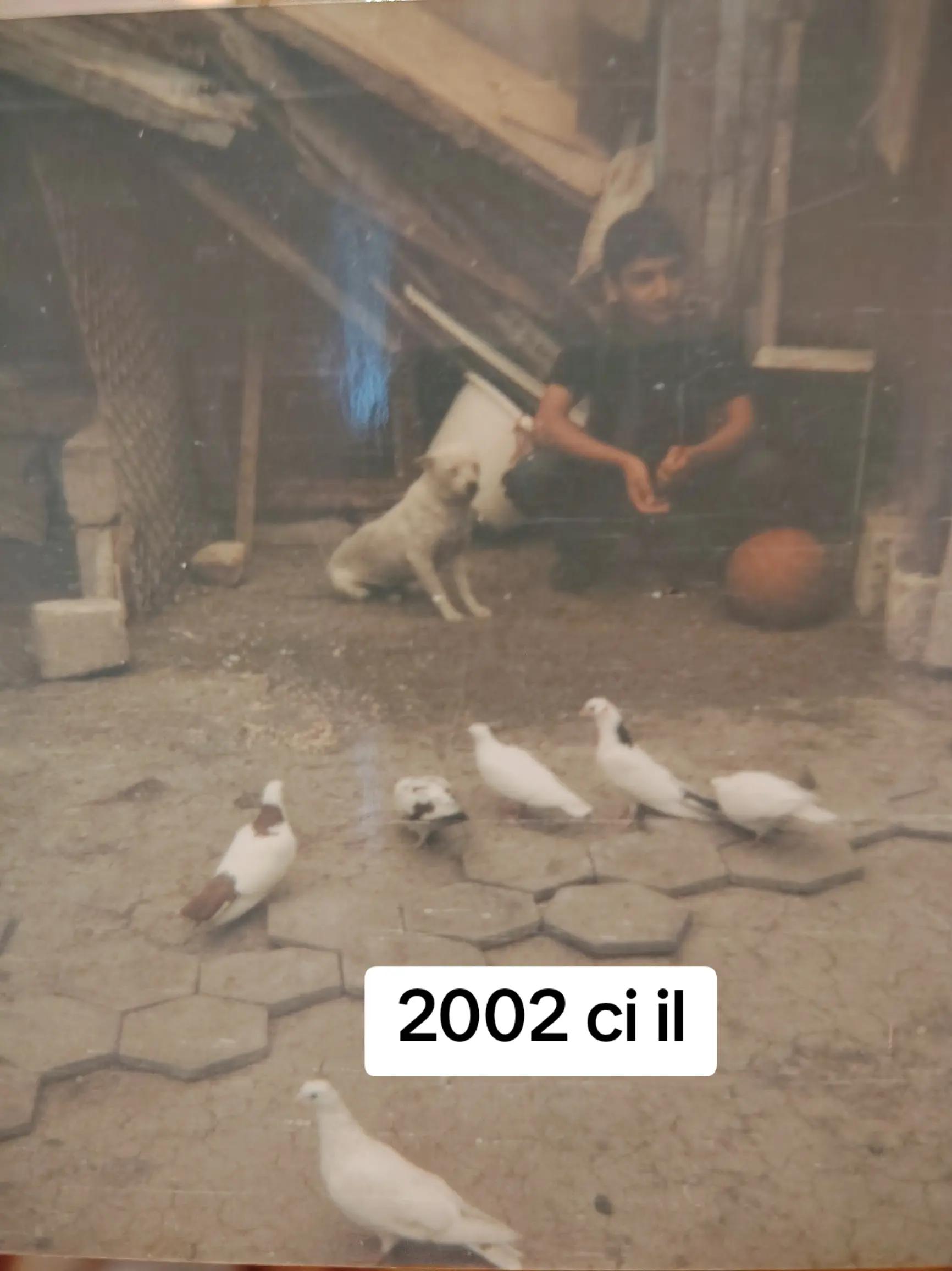 @Resul_osanli020