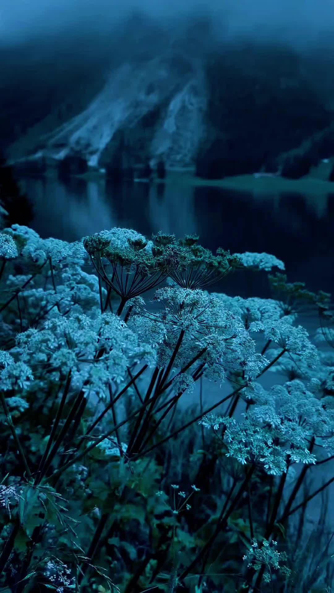 @NatureVibes0