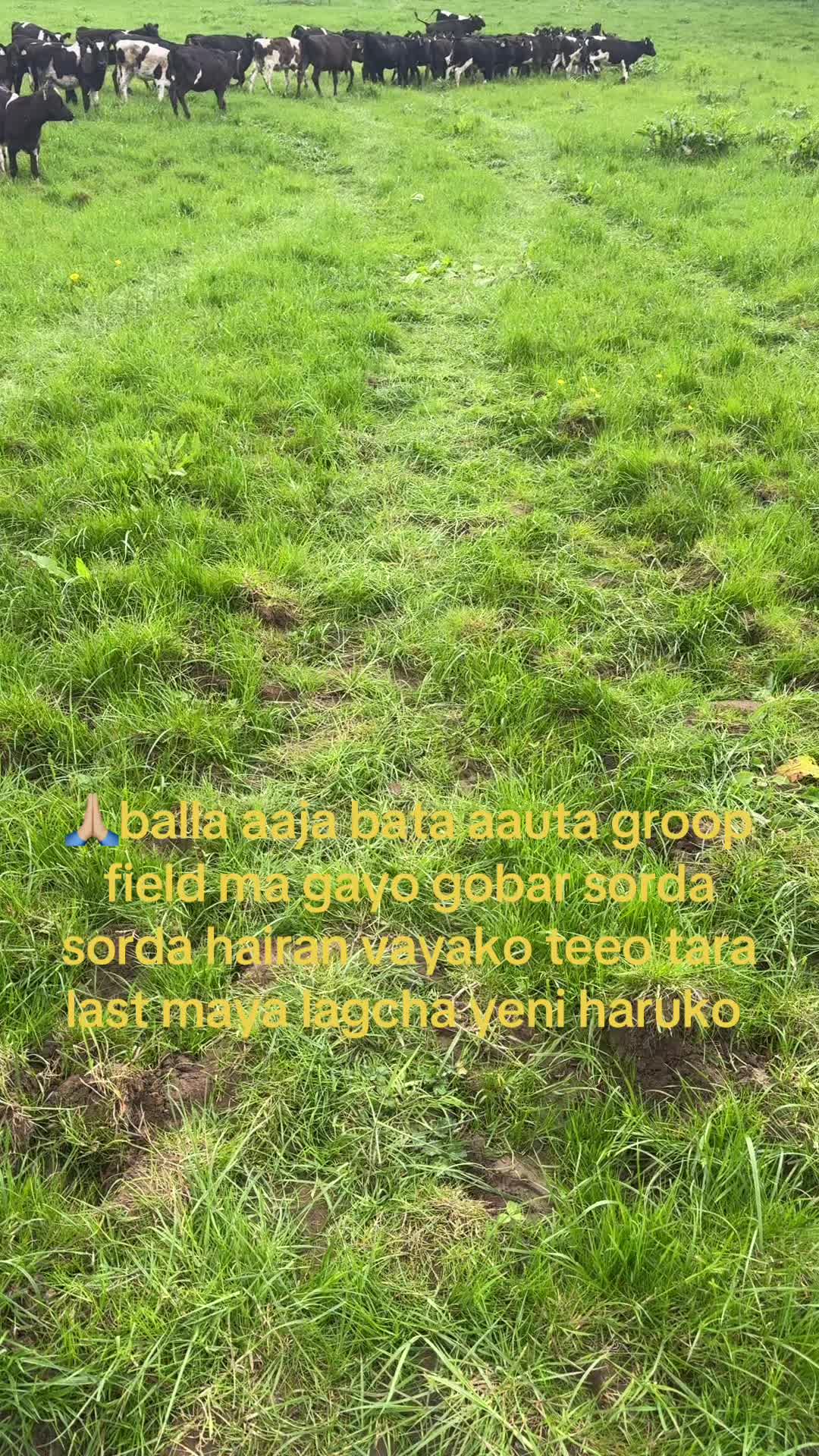 @Arjunkarki🇳🇵🙏🏼❤️🇮🇪🇮🇪