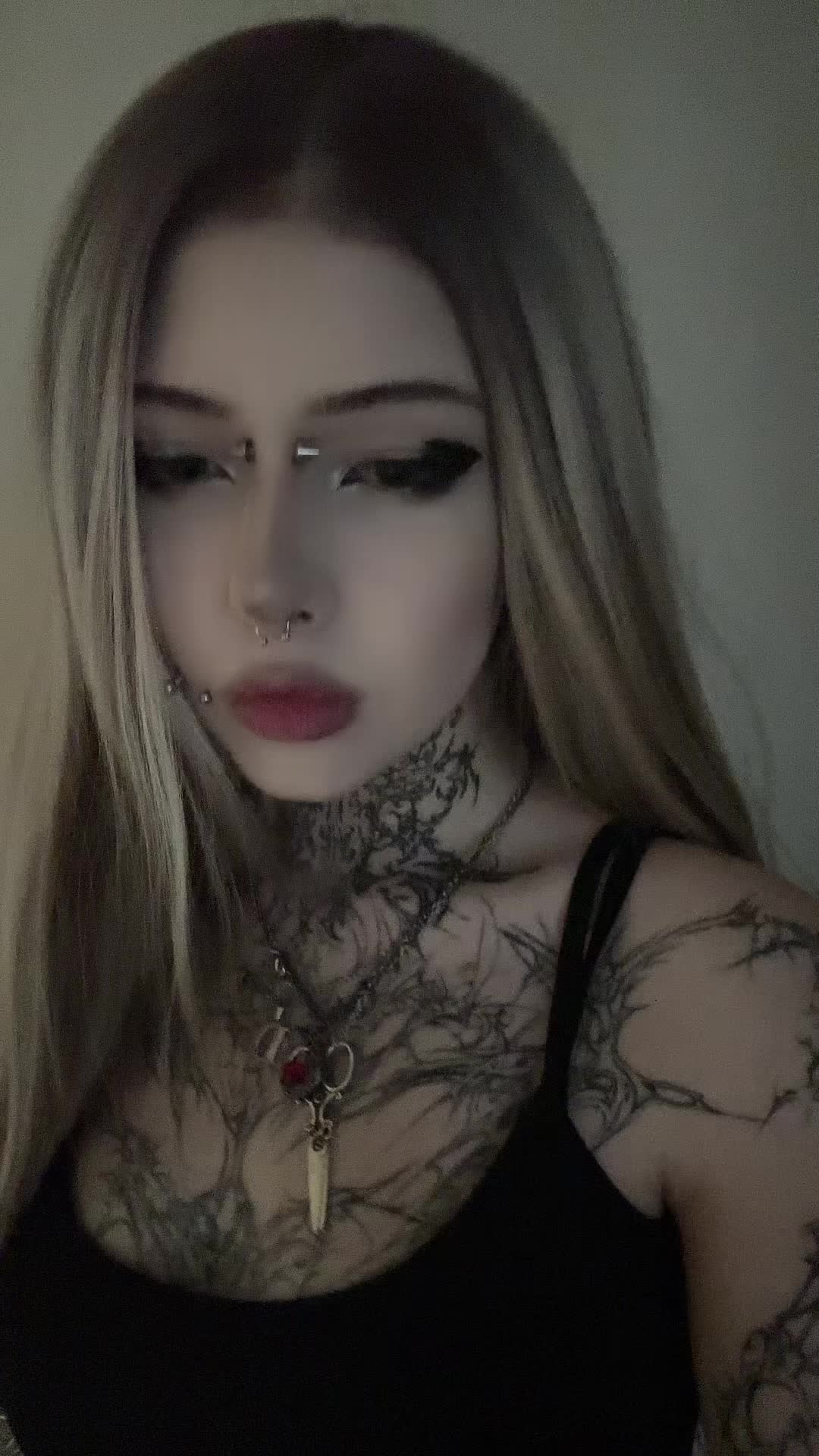 @dark dynasty