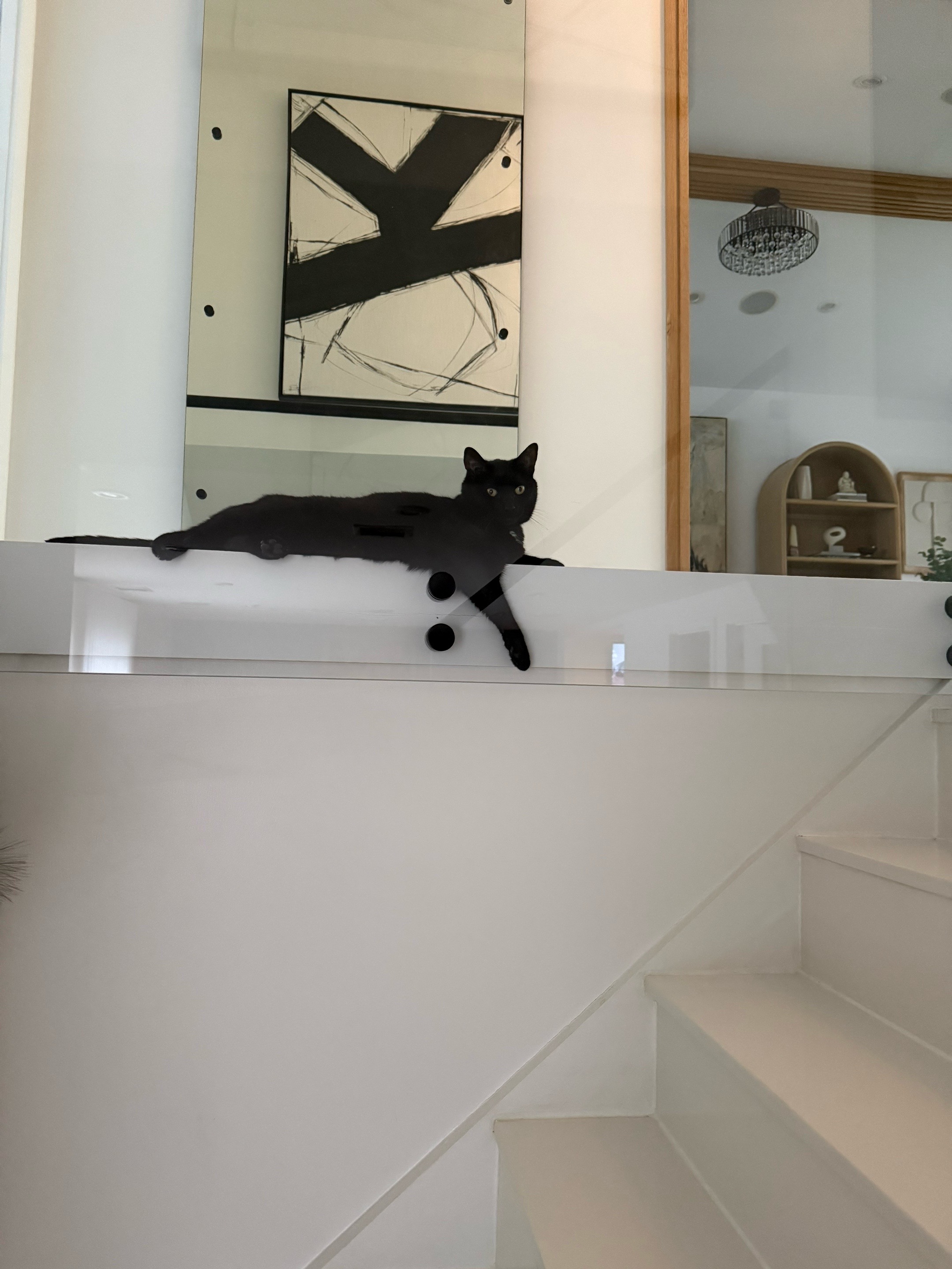 @Oscar Jeremy the cat!