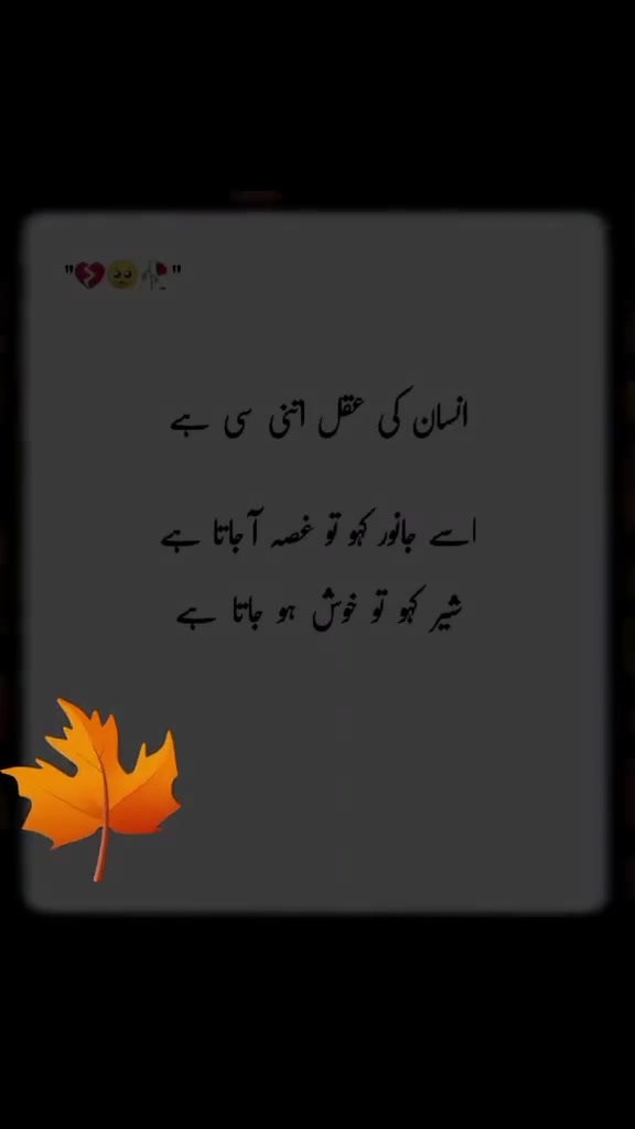 @❤️ᎦᎧᏞᎧ々Rɪᴅᴇʀ乂⁰⁷࿐