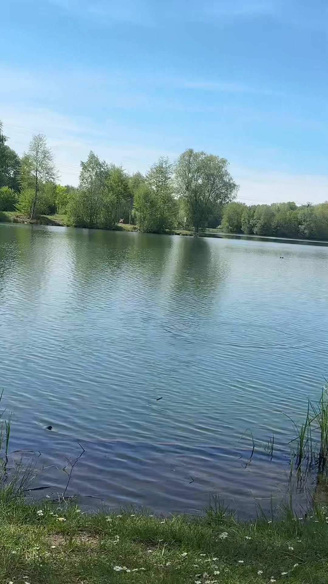 @ancamadyy7