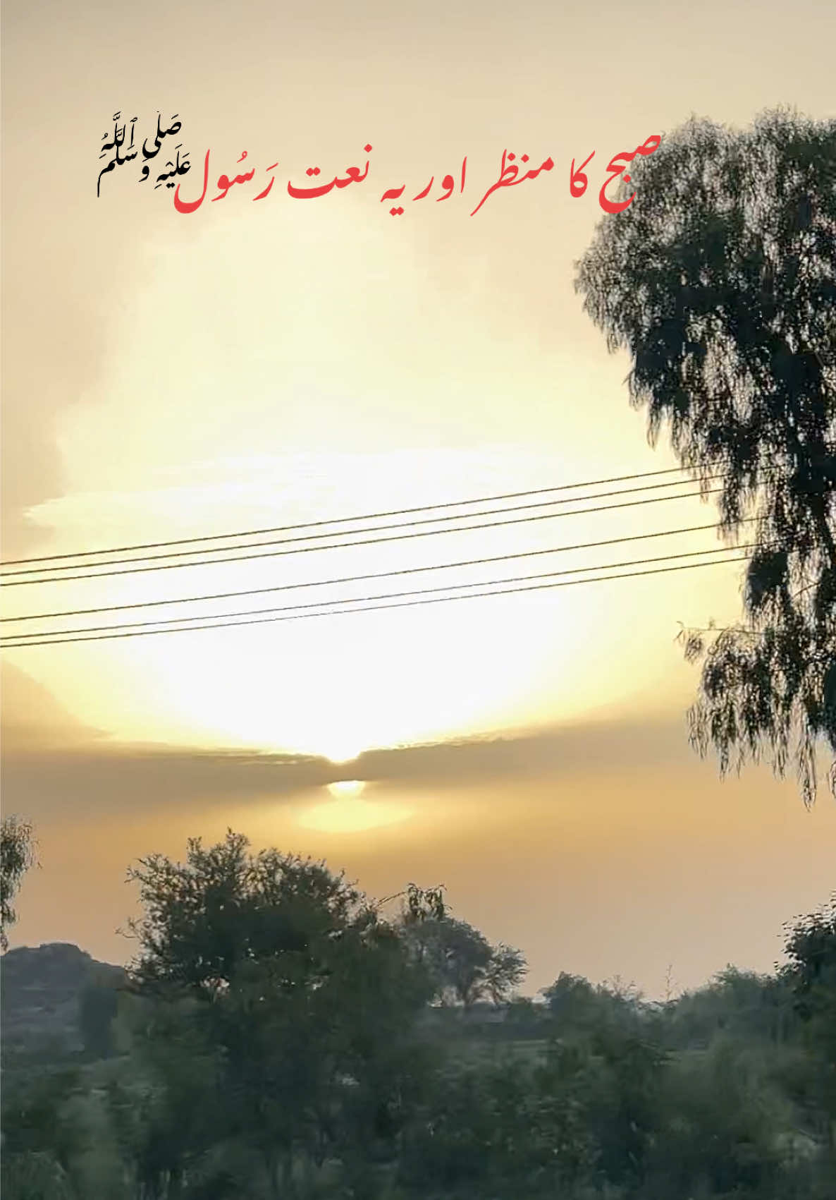 @UMAIR AHMAD MALIK