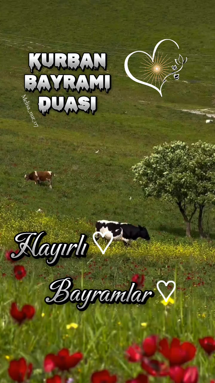 @♡★᭄ꦿ᭄ EZ   ᭄ꦿ᭄:♡MELİSA★᭄ꦿ᭄ ♡