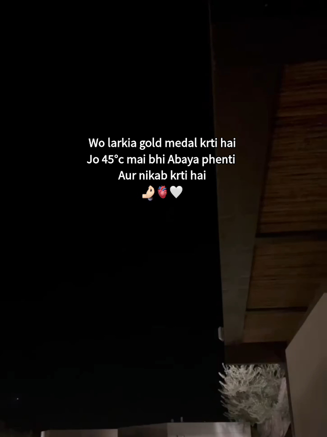 @Z A Y A N ⋆