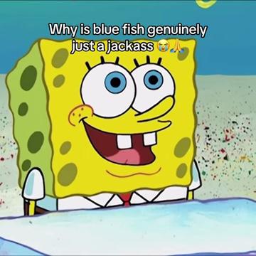 @Mz.mp4