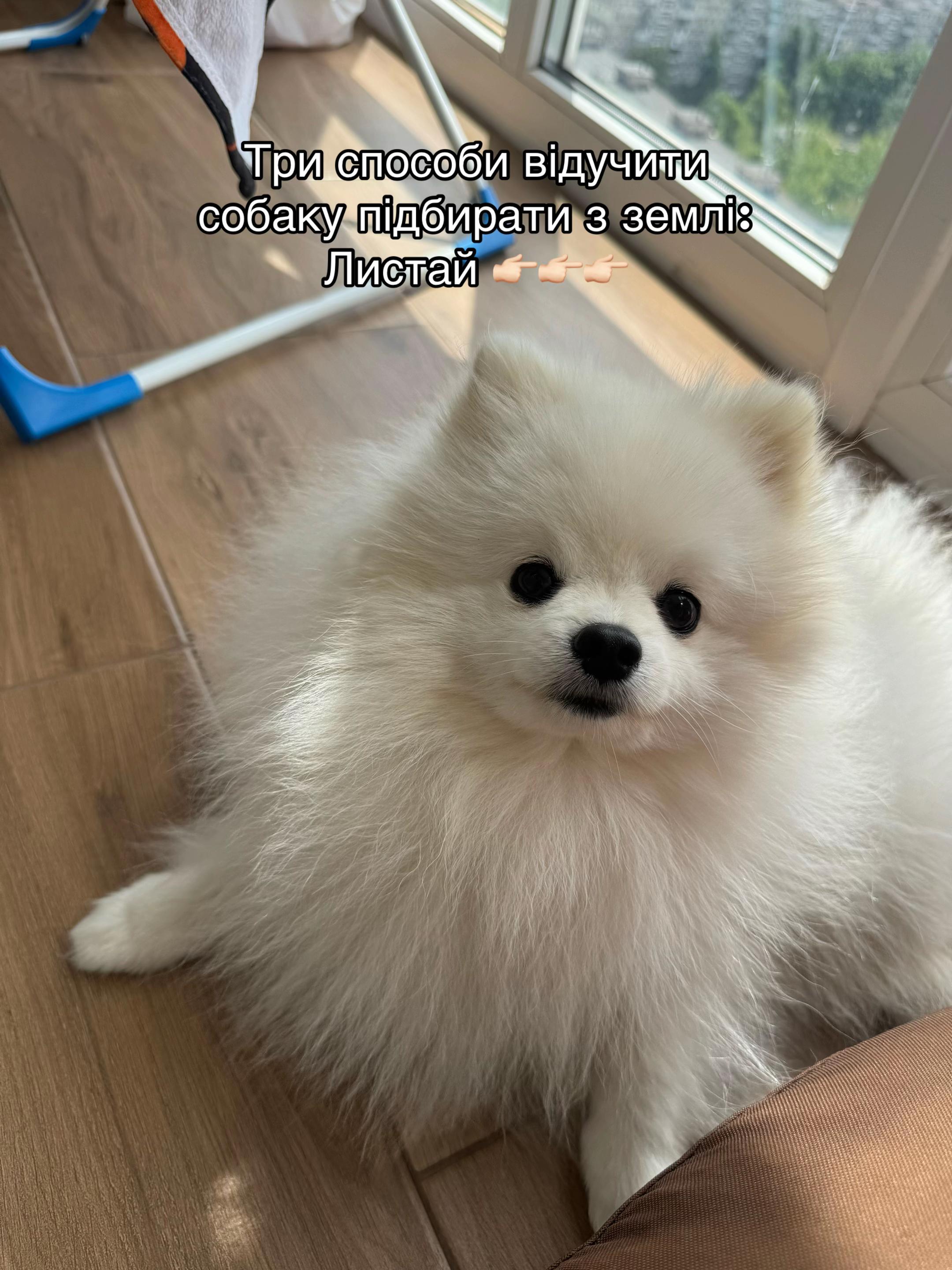 @Ліля з ТікТоку 💃