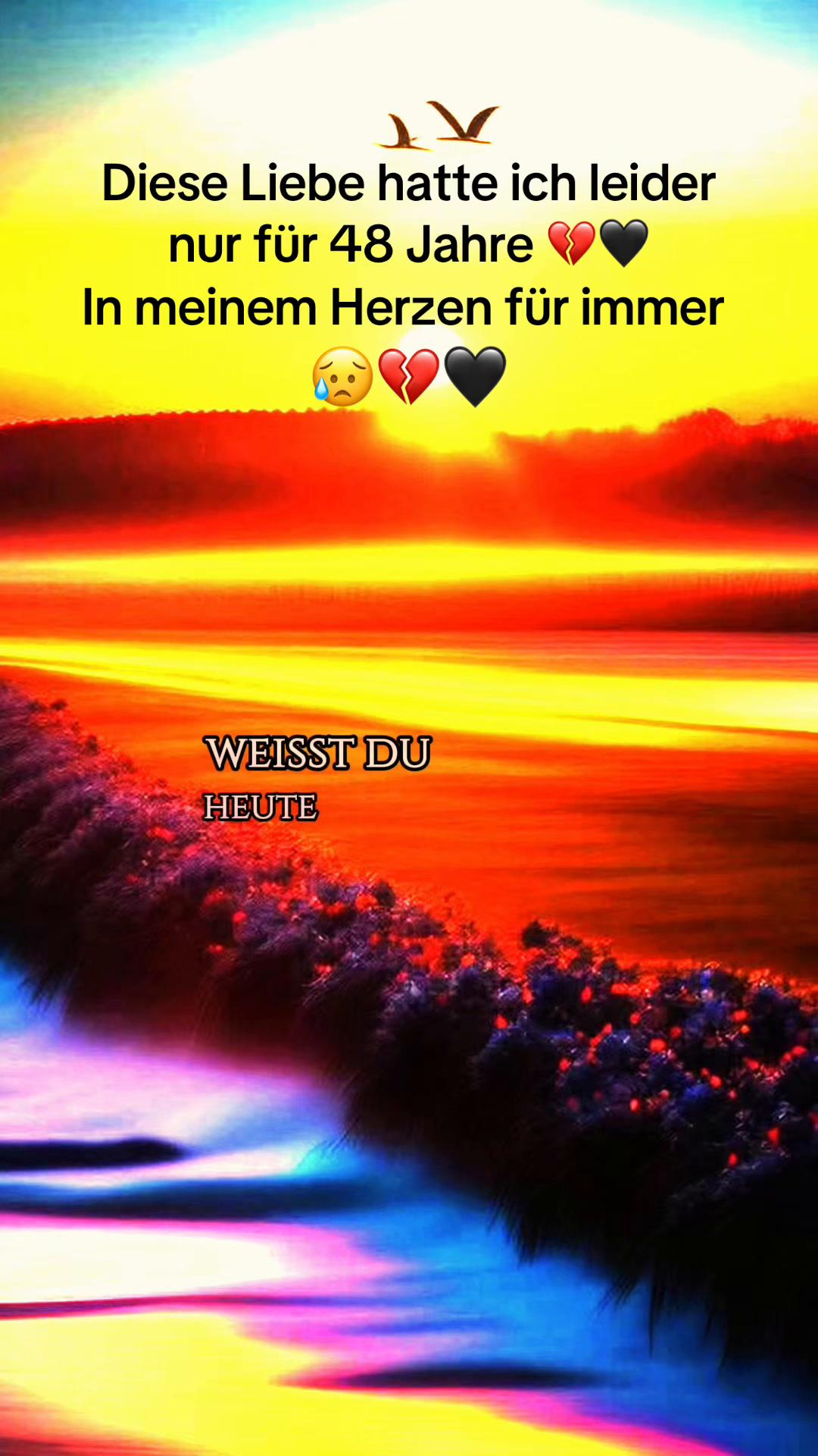 @Mona 🕊 gefallener Engel 🕊💙