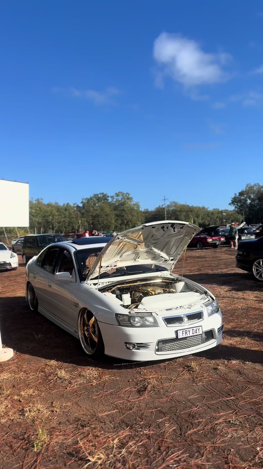 @TORQ MEDIA 🦩