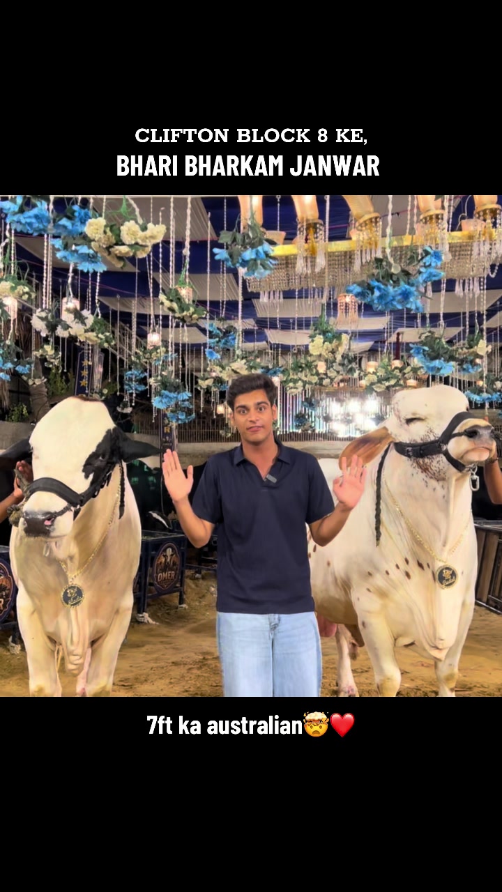 @Ayan Iqbal